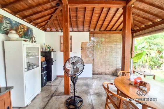 Image 4 from 2 Bedroom Villa For Rent in Seseh Beachside