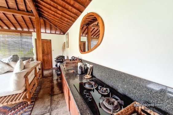 Image 5 from 2 Bedroom Villa For Rent in Seseh Beachside