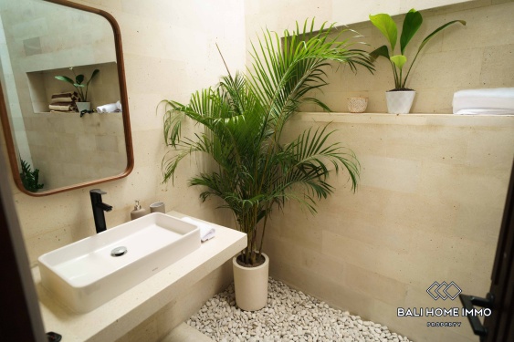 Image 9 from 2 Bedroom Villa for Rent in Umalas