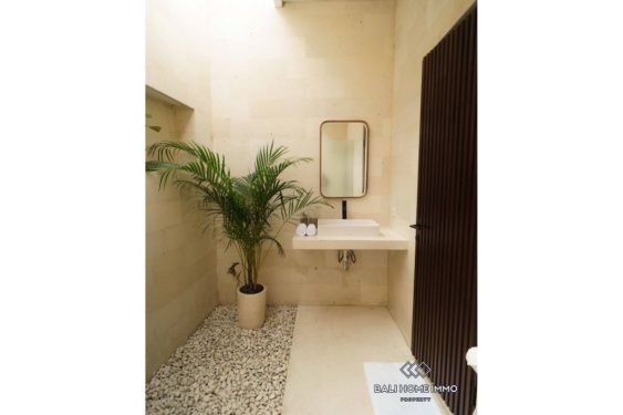 Image 10 from 2 Bedroom Villa for Rent in Umalas