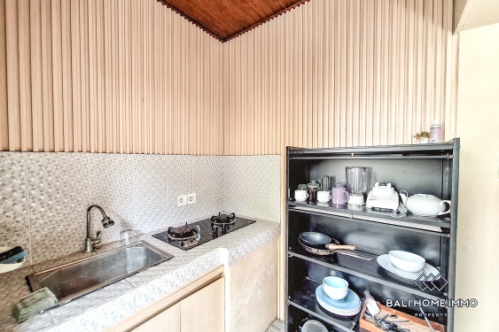 Image 4 from 2 Bedroom Villa For Rent in Umalas