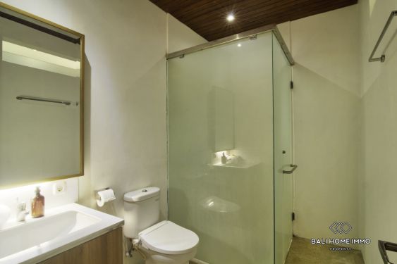 Image 15 from 2 Bedroom Villa For Rental in Berawa