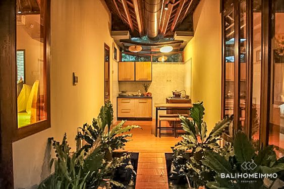 Image 3 from 2 Bedroom Villa for Rentals in Bali Ubud