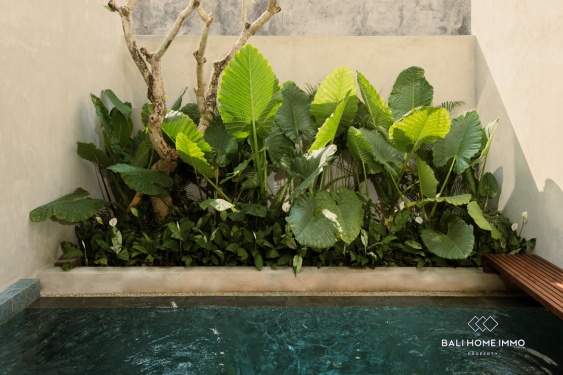 Image 12 from 2 BEDROOM VILLA FOR SALE AND RENT IN BALI CANGGU BABAKAN