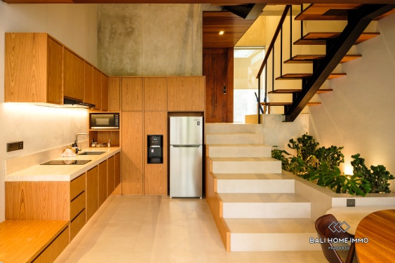 Image 1 from VILLA DE 2 CHAMBRES À VENDRE ET À LOUER À BALI CANGGU BABAKAN