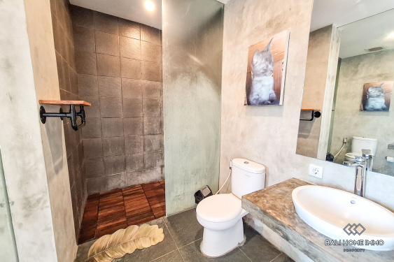 Image 20 from 2 Bedroom Villa For Sale and Rent in Berawa Canggu