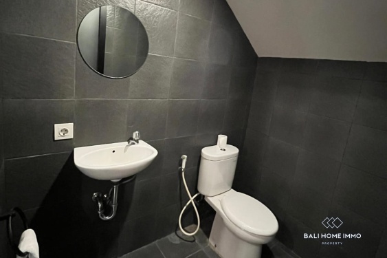 Image 14 from 2 Bedroom Villa For Sale and Rent in Berawa Canggu