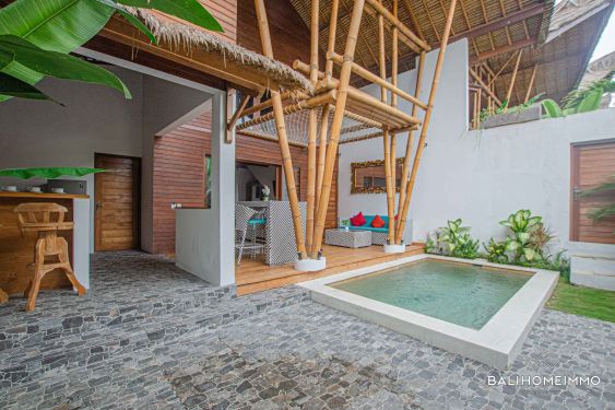 Image 4 from Vila 2 Kamar Dijual di Canggu Berawa
