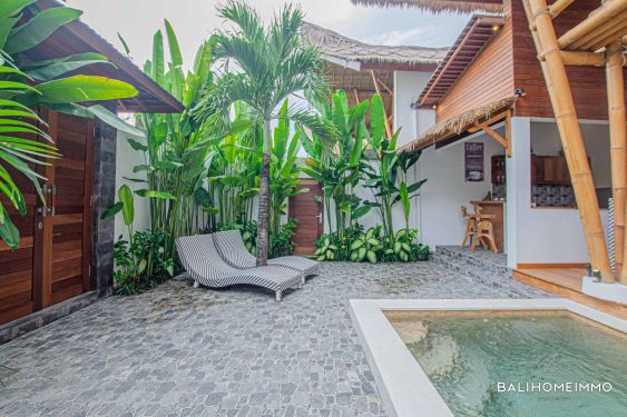 Image 1 from 2 Bedroom Villa for Sale and Rent in Canggu Berawa