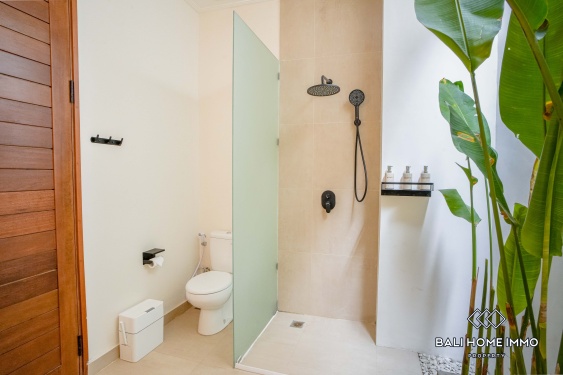 Image 15 from 2 Bedroom Villa for Sale and Rent in Canggu Residential Side