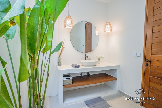 Image 13 from 2 Bedroom Villa for Sale and Rent in Canggu Residential Side