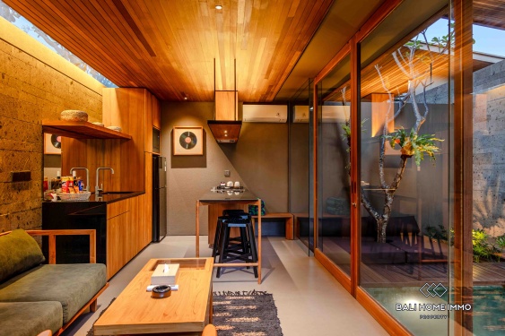 Image 4 from 2 Bedroom Villa for Sale and Rental in Bali Canggu Batubolong Echobeach