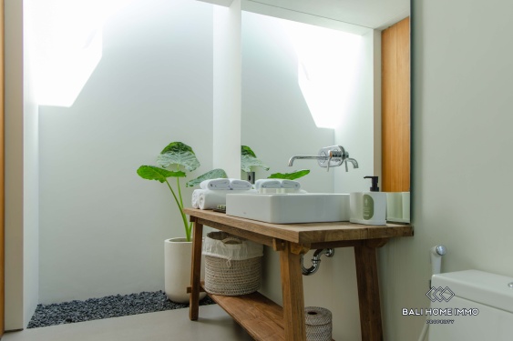 Image 15 from 2 Bedroom Villa for Sale and Rental in Bali Canggu Batubolong Echobeach