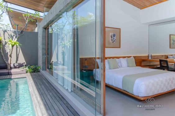 Image 8 from 2 Bedroom Villa for Sale and Rental in Bali Canggu Batubolong Echobeach