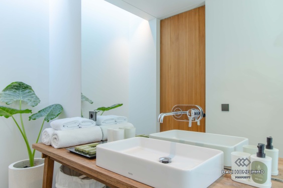 Image 18 from 2 Bedroom Villa for Sale and Rental in Bali Canggu Batubolong Echobeach