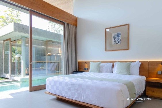 Image 12 from 2 Bedroom Villa for Sale and Rental in Bali Canggu Batubolong Echobeach