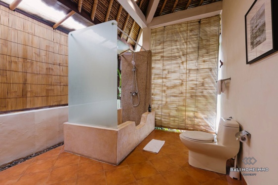 Image 16 from Dijual dan Disewakan Villa 2 Kamar di Sisi Perumahan Bali Canggu