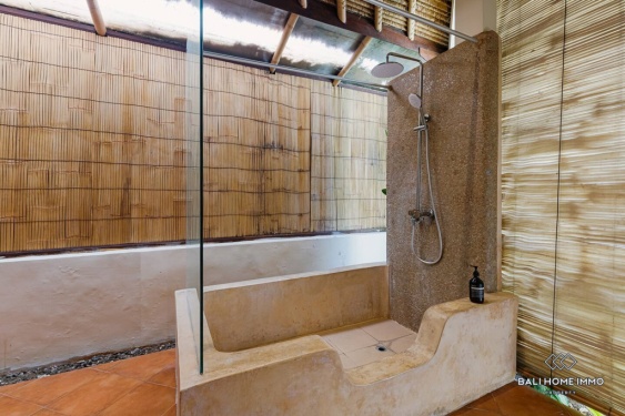 Image 18 from Dijual dan Disewakan Villa 2 Kamar di Sisi Perumahan Bali Canggu