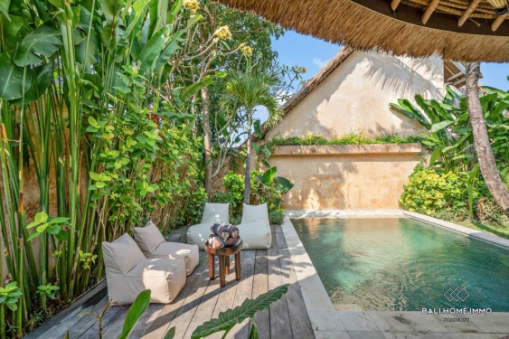 Image 19 from Dijual dan Disewakan Villa 2 Kamar di Sisi Perumahan Bali Canggu