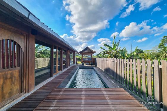 Image 12 from Villa de 2 chambres à vendre en location à Bali Nyanyi