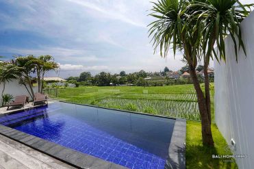 Image 2 from 2 Bedroom Villa for Rentals in Bali Berawa