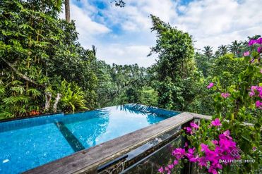 Image 3 from 2 Bedroom Villa For Sale Leasehold in Ubud