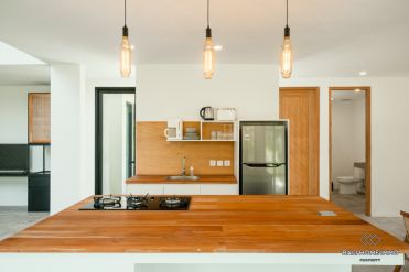 Image 8 from Villa 2 Kamar Tidur Disewakan Jangka Panjang di Umalas