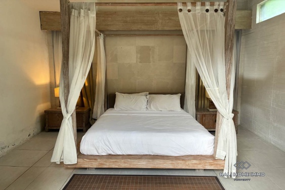 Image 8 from 2 Bedroom Villa For Yearly  nad Monthly Rental in Bumbak Umalas