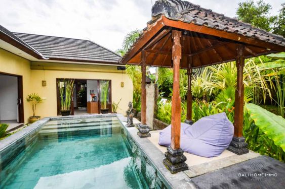 Image 3 from 2 Bedroom Villa for Yearly Rental and Sale Leasehold in Bali Pererenan
