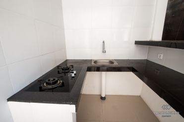 Image 15 from Villa de 2 chambres à louer à l'année à Canggu