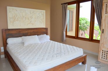 Image 9 from 2 Bedroom Villa For Yearly Rental in North Canggu