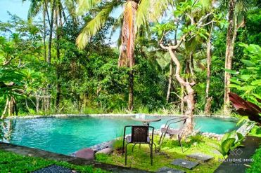 Image 7 from Vila 2 Kamar Tidur untuk Disewakan di Bali dekat Ubud