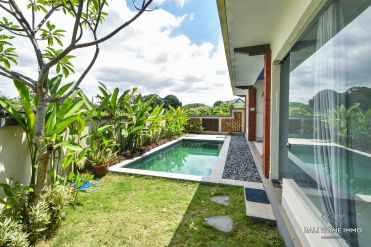 Image 3 from Villa de 2 chambres à louer à l'année à Umalas