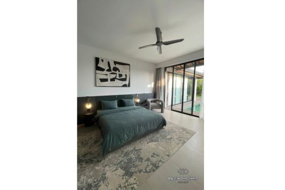 Image 3 from 2 Bedroom Villa for Yearly Rental in Umalas