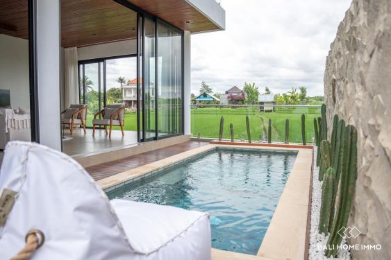 Image 1 from Dijual villa 2 kamar tidur dengan pemandangan sawah di cepaka