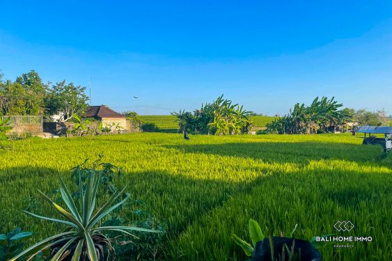 Image 2 from Villa de 2 chambres avec vue sur les rizières à vendre en bail à Padonan Bali
