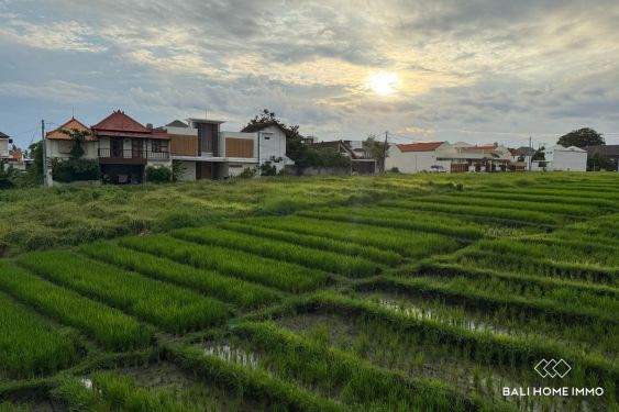 Image 11 from Villa de 2 chambres avec vue sur les rizières à vendre en location près de la plage de Cemagi