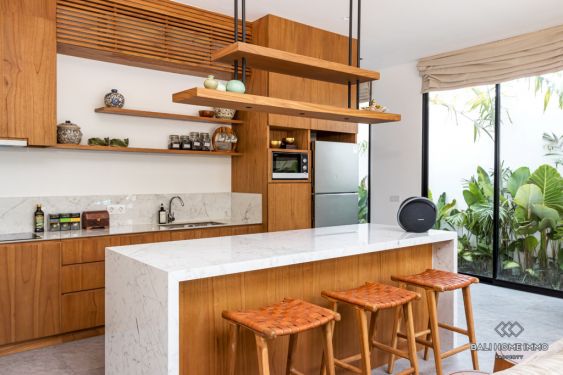 Image 7 from Brand New 3 Bedroom Villa for Sale and Rent in Bali Pererenan Tumbak Bayuh