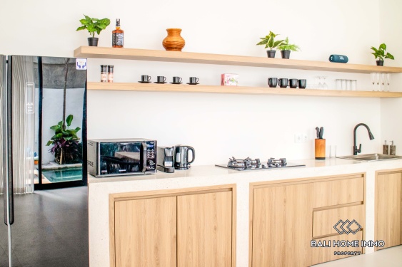 Image 8 from Vila 2 Kamar Disewakan di Canggu Berawa