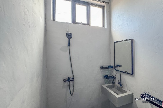 Image 13 from 2 Bedrooms Villa for Yearly rental in Bali Canggu Berawa