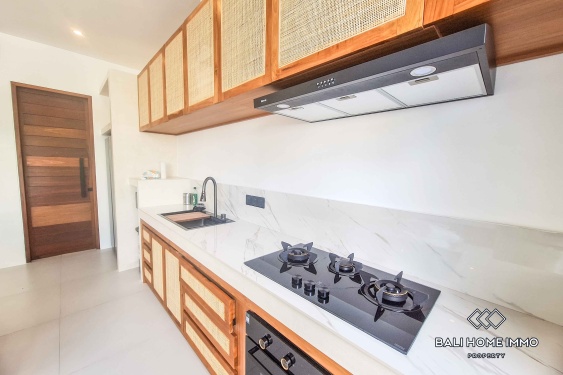 Image 9 from Villa Baru dengan 2 Kamar untuk Disewa di Seseh