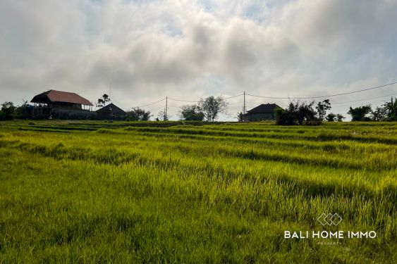 Image 2 from RICEFIELD VIEW LAND FOR SALE LEASEHOLD IN NYANYI CLOSE TO THE BEACH
