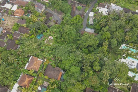 Image 4 from Dijual Tanah 20 Are di Sayan Ubud