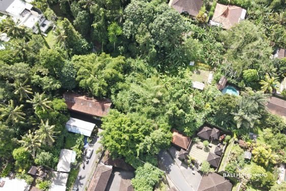 Image 5 from Dijual Tanah 20 Are di Sayan Ubud