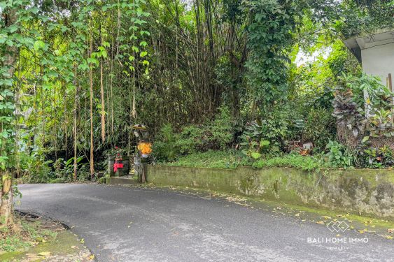 Image 6 from Dijual Tanah 20 Are di Sayan Ubud