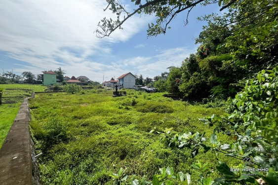 Image 4 from 20 are land in touristic zone land for sale leasehold in Nyanyi Beachside