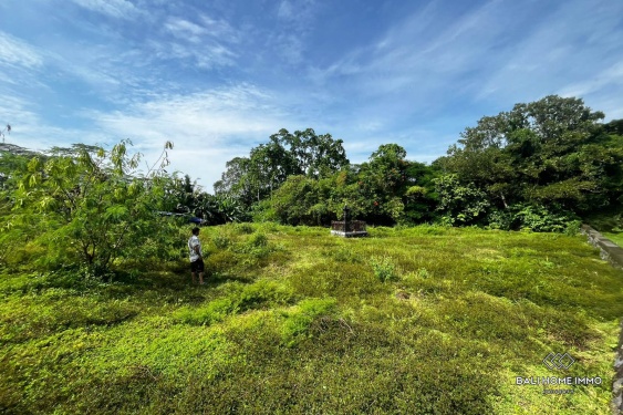 Image 2 from 20 are land in touristic zone land for sale leasehold in Nyanyi Beachside