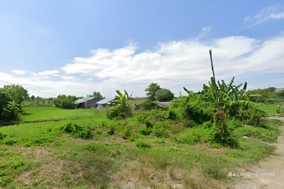 Image 2 from 23 are Land for Sale Freehold with Ricefield View in Seminyak  Bali