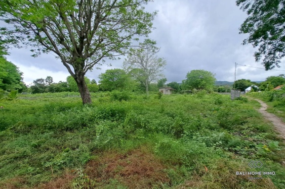 Image 11 from 23 hektar lahan tepi pantai yang ditawarkan untuk investasi berlokasi di Nusa Penida.