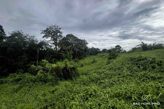 Image 4 from 24.5 are land with river view for sale in Kaba Kaba